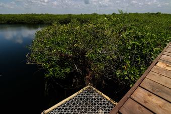 Cormoran Boutique Hotel & Cenote Tulum