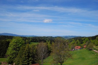 Hotel Gasthaus Sonne Neuh�usle