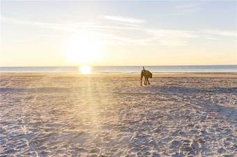 Yacht Club 7536 - Three Bedroom Condo