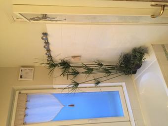 C�t� Campagne - G�te