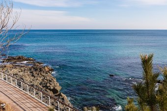 Residencia Haelim Pension