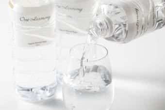 Hotel Nikko Kansai Airport