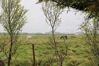 Hotel Mar�a Lov�sa Guesthouse