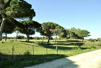 Las Chimeneas Zahora
