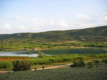 Apartamentos Miguel Angel