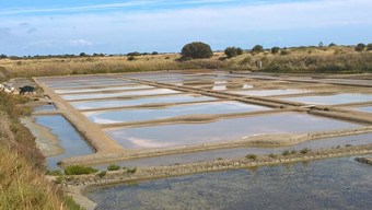 House With 2 Bedrooms In Mesquer, With Furnished Garden - 500 M From The Beach