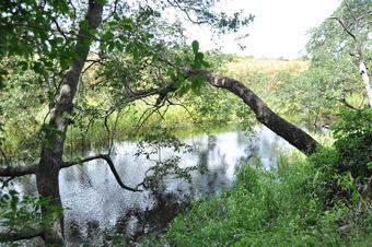 Askiesbos Okavango Delta
