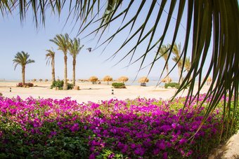 Hotel Green Lagoon Beach Resort Ras Sidr