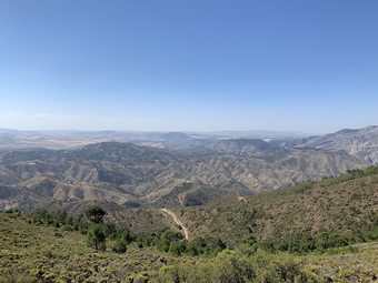 B&B Cortijo Vista Alora