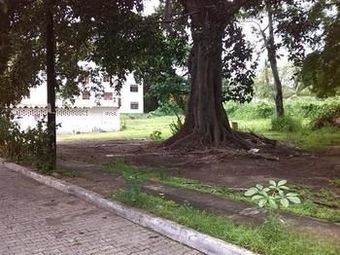 Hotel Y Suites Corita