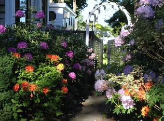 Bed & Breakfast Inn At Bath