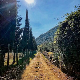 Agroturismo Podere Groppini