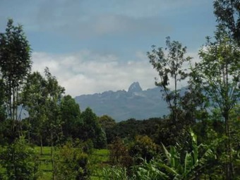 Hotel Mt. Kenya Riverside Retreat