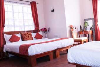 Ver fotos