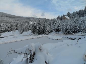 Apartment With 5 Bedrooms In Ban-sur-meurthe-clefcy, With Wonderful Mountain View, Pool Access, Furnished Garden - 10 Km From The Slopes