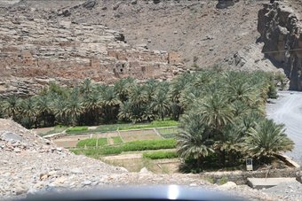 Hotel Abu Omair Jabal Shams Guesthouse