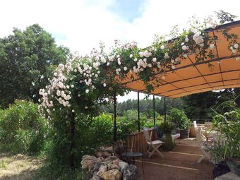 Les Vignes De Terrisse