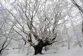Hotel El Mirador De Fuentes Del Narcea