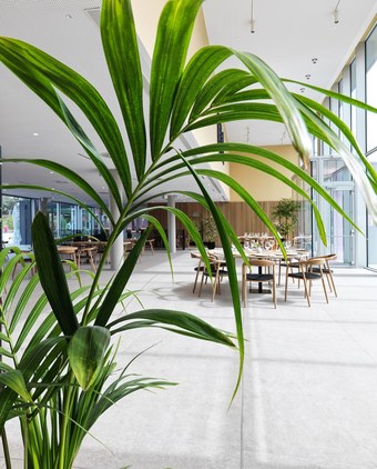 Noa Boutique Hotel