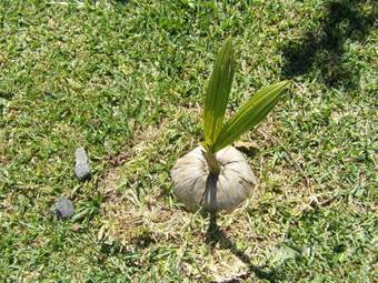 Bed & Breakfast Vista Valverde