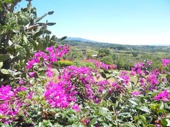 Bed & Breakfast Finca Vibran B & B