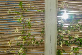 Apartamento Casetta Lavanda - Casette Pricci