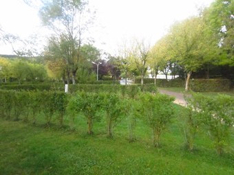 Bungalow Des Calqui�res