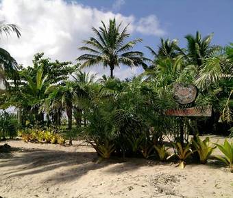 Hostal Pousada Tortuga