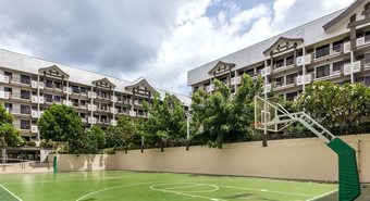 The Redwoods By Precious Gem