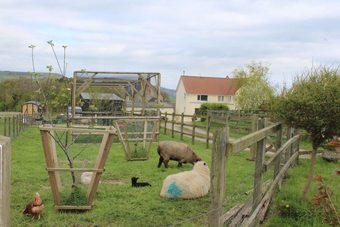 Bed & Breakfast Greenacres B & B