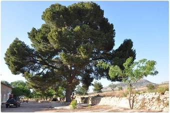 Agroturismo Ruralmonovar - Casa Rural Madara