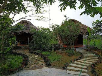 Hotel Cuc Phuong Bungalow