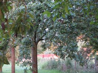 Bed & Breakfast Le Moulin De L`epinay