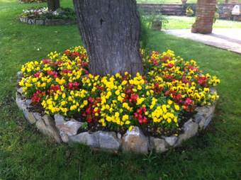 Agroturismo Azienda Agrituristica I Tre Casali