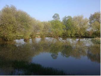 Bed & Breakfast Le R�zinet - Chambres D'h�tes