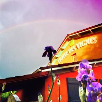 Hotel Des Vignes - Le Calme Au Coeur Des Vignes