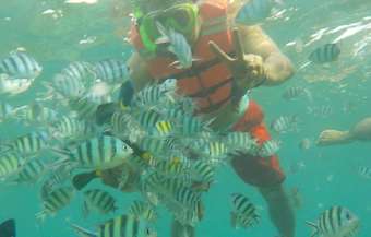 Hotel Pari Island Guest House