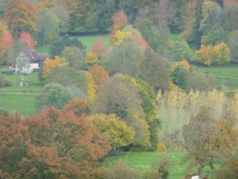 Bed & Breakfast Chambre D'h�te La Roseraie