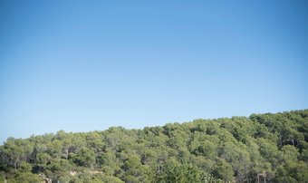 Julius House With Pool 7km From The Beach (r75)