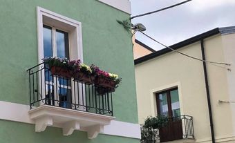 Ver fotos