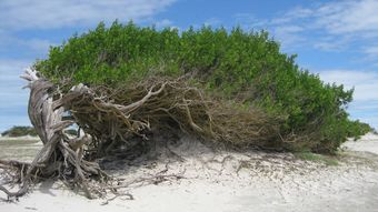 Hotel Pousada Infinito Azul