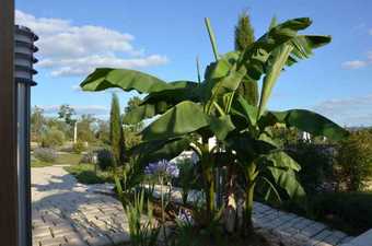 Apartamento La Maison Du Passant - La Bois�e