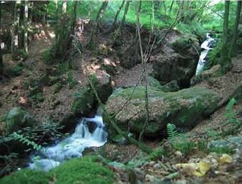 Bed & Breakfast Auberge Du Pr�content