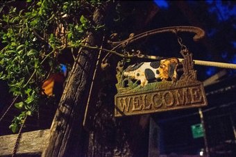 Hotel Oasi Liv Palermo