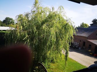 Agroturismo G�te � La Ferme 5 � 7 Pers-baie de Somme