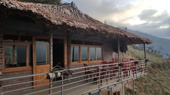 Hotel Thanh Homestay