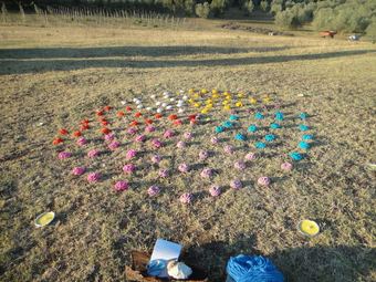 Bed & Breakfast Viaggiatori D'intento