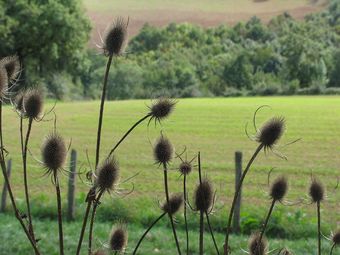 Bed & Breakfast Chambres D'h�tes La Card�re