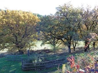 Bed & Breakfast La Ferme De Vallauris