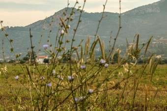 House With 3 Bedrooms In Capaccio - Paestum, With Furnished Garden - 6 Km From The Beach